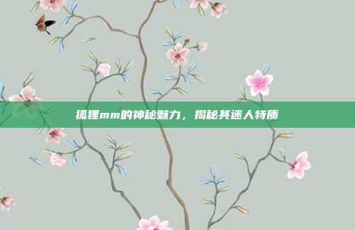 狐狸mm的神秘魅力,揭秘其迷人特质