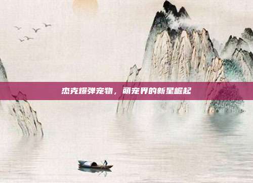 杰克爆弹宠物,萌宠界的新星崛起