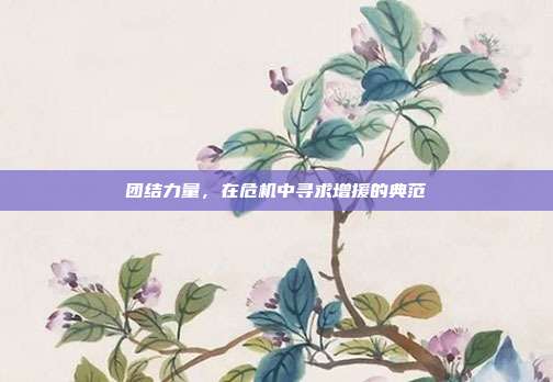 团结力量,在危机中寻求增援的典范