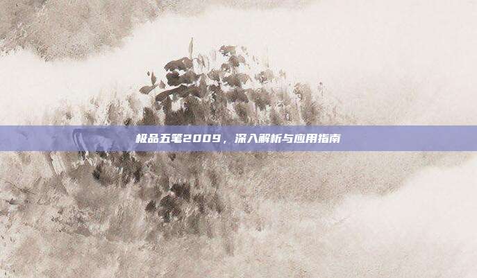 极品五笔2009,深入解析与应用指南