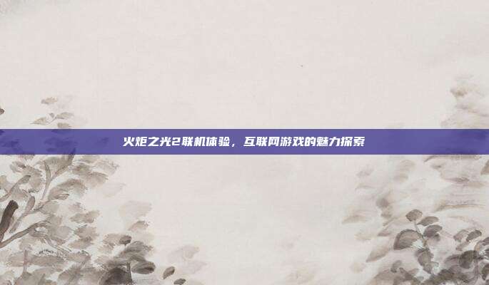 火炬之光2联机体验,互联网游戏的魅力探索