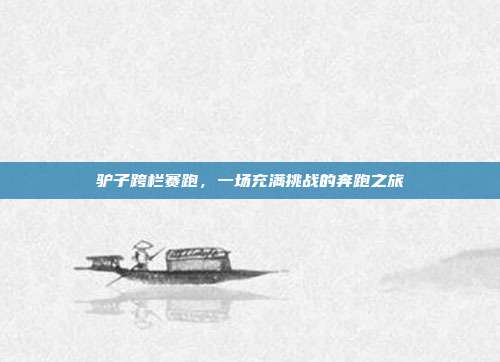 驴子跨栏赛跑,一场充满挑战的奔跑之旅