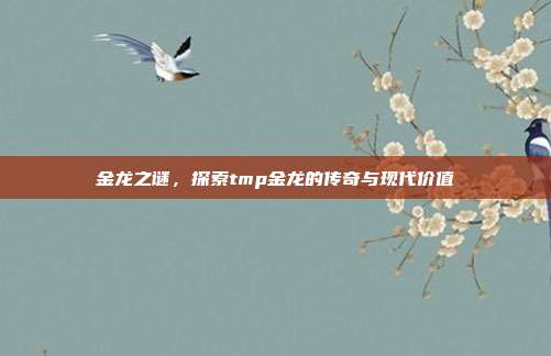 金龙之谜,探索tmp金龙的传奇与现代价值