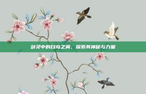 剑灵中的白鸟之翼,探索其神秘与力量