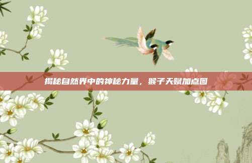 揭秘自然界中的神秘力量,猴子天赋加点图
