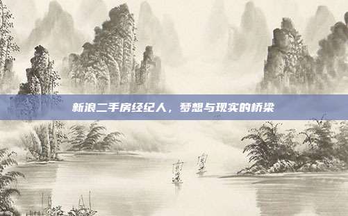 新浪二手房经纪人,梦想与现实的桥梁