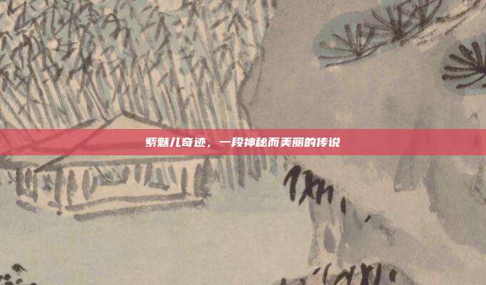 紫魅儿奇迹,一段神秘而美丽的传说