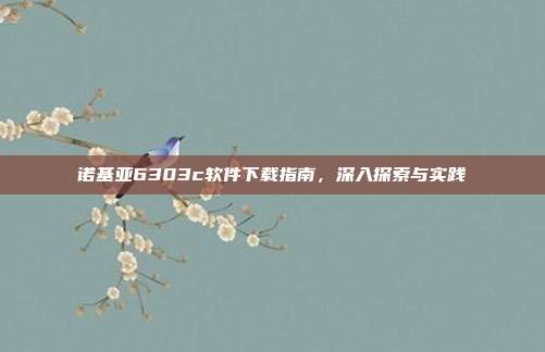诺基亚6303c软件下载指南,深入探索与实践