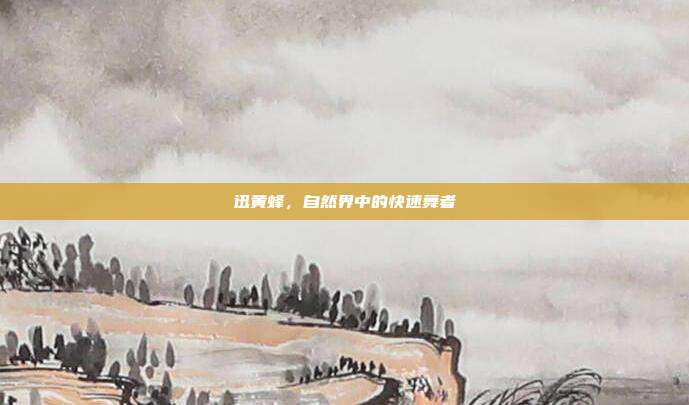 迅黄蜂,自然界中的快速舞者