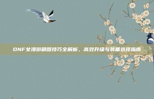 DNF女漫游刷图技巧全解析,高效升级与装备选择指南
