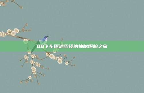 QQ飞车莲池幽径的神秘探险之旅