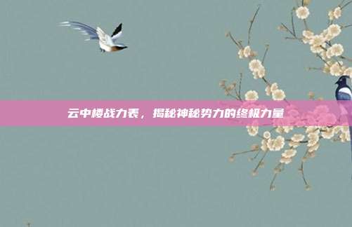云中楼战力表,揭秘神秘势力的终极力量
