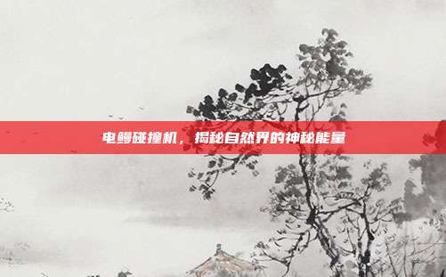 电鳗碰撞机,揭秘自然界的神秘能量