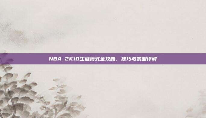 NBA 2K10生涯模式全攻略,技巧与策略详解