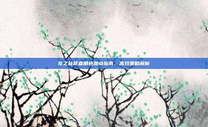龙之谷贤者角色加点指南,高效策略解析