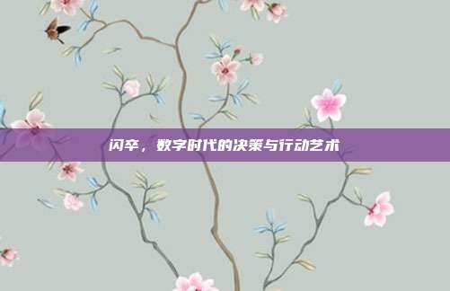 闪卒,数字时代的决策与行动艺术