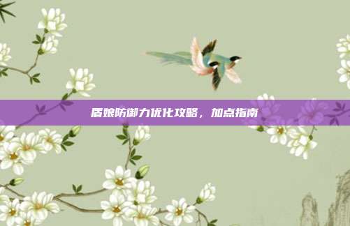盾娘防御力优化攻略,加点指南