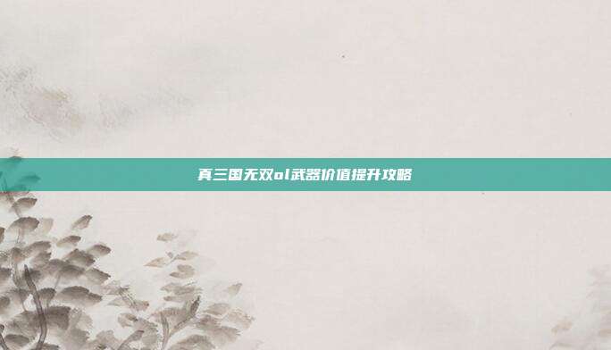 真三国无双ol武器价值提升攻略