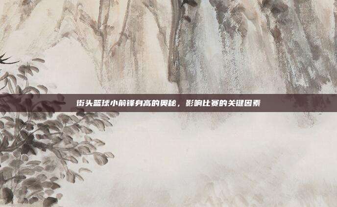 街头篮球小前锋身高的奥秘,影响比赛的关键因素