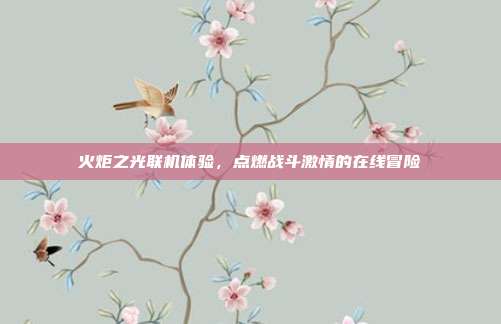 火炬之光联机体验,点燃战斗激情的在线冒险