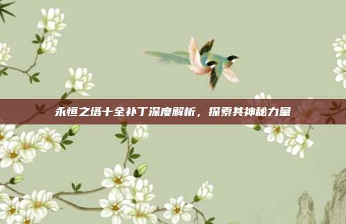 永恒之塔十全补丁深度解析,探索其神秘力量
