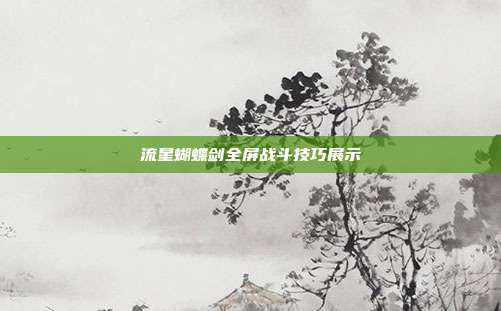 流星蝴蝶剑全屏战斗技巧展示