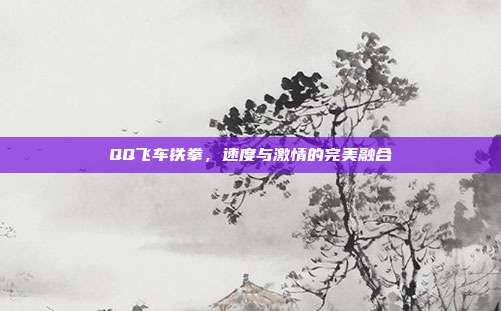 QQ飞车铁拳,速度与激情的完美融合