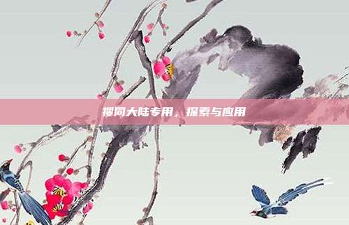 搜同大陆专用,探索与应用