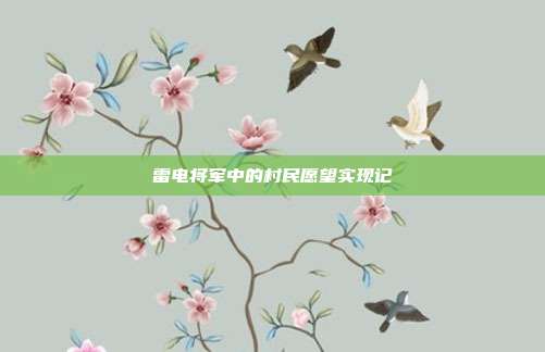 雷电将军中的村民愿望实现记