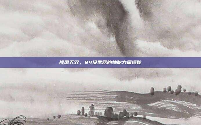 战国无双,24级武器的神秘力量揭秘