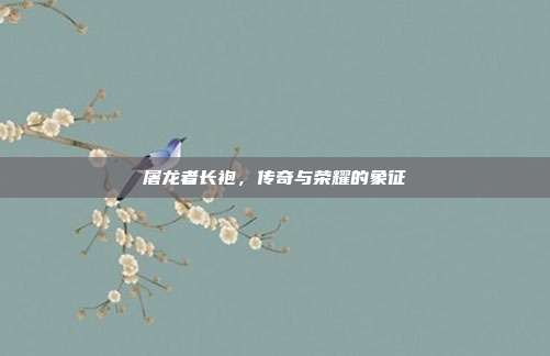 屠龙者长袍,传奇与荣耀的象征
