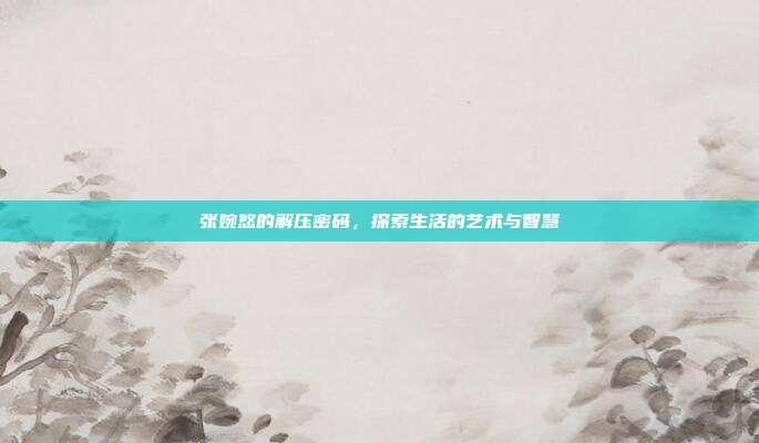 张婉悠的解压密码,探索生活的艺术与智慧