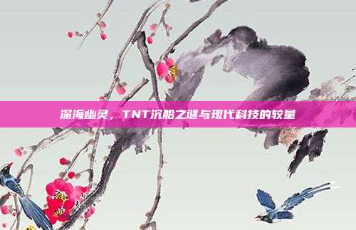 深海幽灵,TNT沉船之谜与现代科技的较量