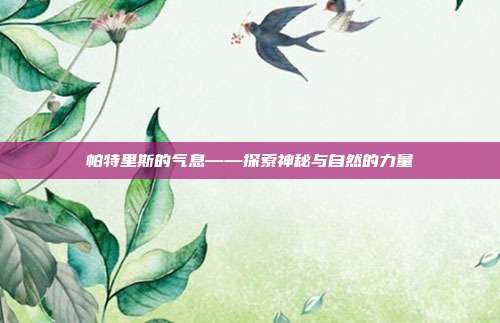 帕特里斯的气息——探索神秘与自然的力量