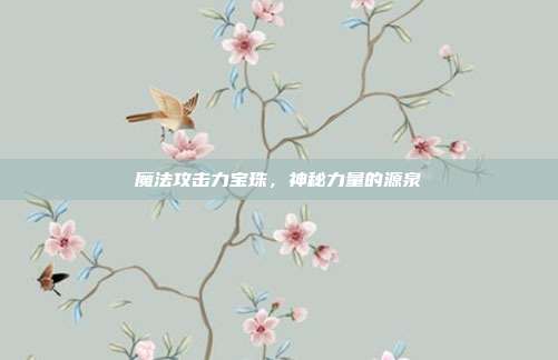 魔法攻击力宝珠,神秘力量的源泉
