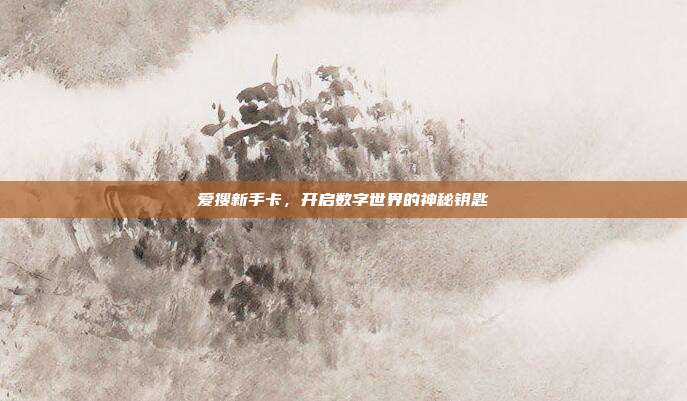 爱搜新手卡,开启数字世界的神秘钥匙