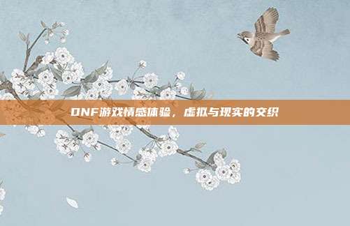 DNF游戏情感体验,虚拟与现实的交织
