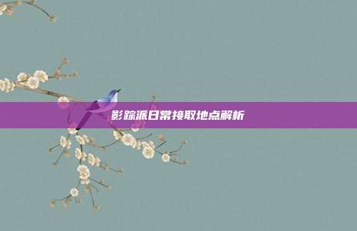 影踪派日常接取地点解析