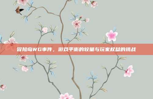冒险岛WG事件,游戏平衡的较量与玩家权益的挑战