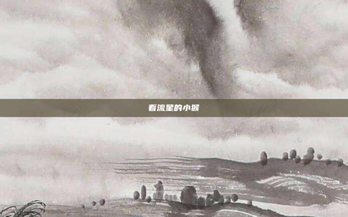 看流星的小猴