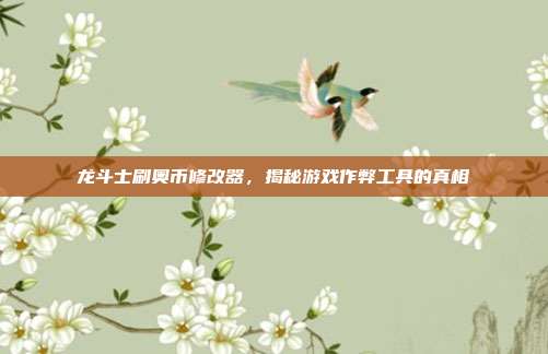 龙斗士刷奥币修改器,揭秘游戏作弊工具的真相