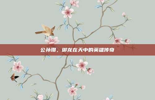 公孙瓒,御龙在天中的英雄传奇