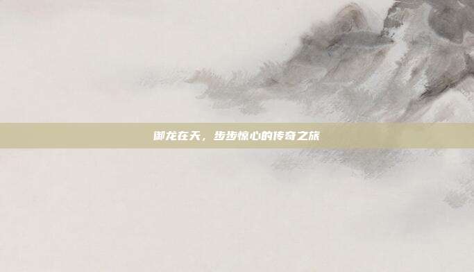 御龙在天,步步惊心的传奇之旅