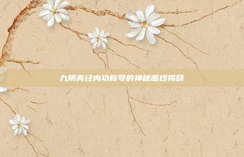 九阴真经内功称号的神秘面纱揭晓