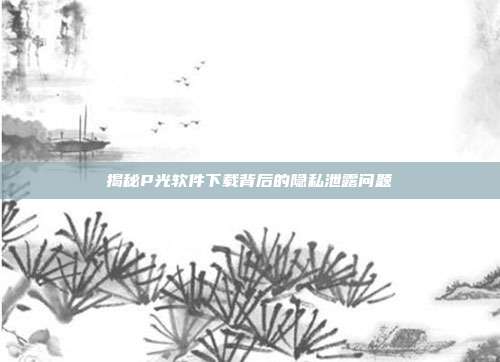 揭秘P光软件下载背后的隐私泄露问题