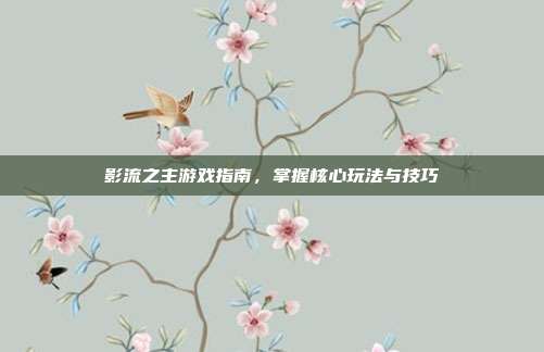 影流之主游戏指南,掌握核心玩法与技巧