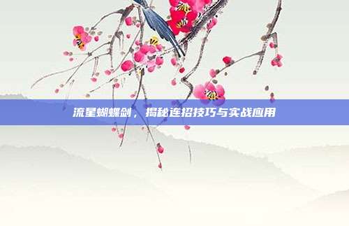 流星蝴蝶剑,揭秘连招技巧与实战应用