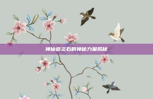 神仙道炎石的神秘力量揭秘