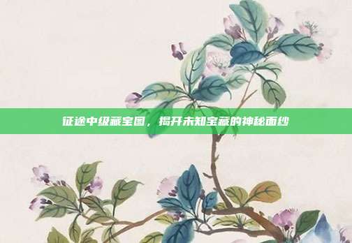 征途中级藏宝图,揭开未知宝藏的神秘面纱