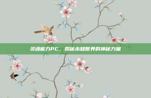 灵魂能力PC,揭秘未知世界的神秘力量